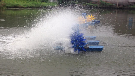 Apa yang menentukan susun atur pengudara kolam ikan