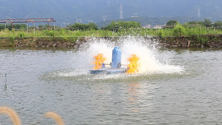 Pemilihan dan pemasangan aerator kolam ikan